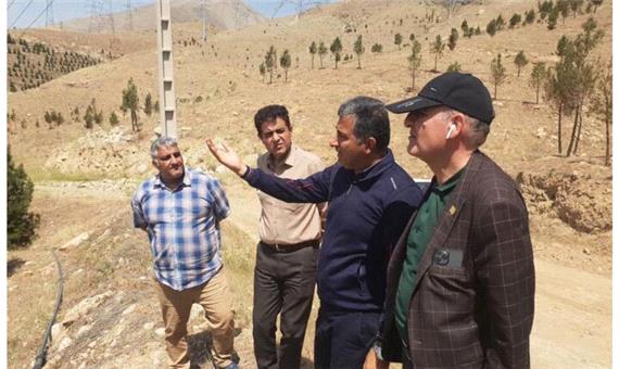 ایمن‌تر شدن مسیر تردد بوستان ایثار در منطقه 22