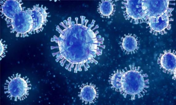 آخرین و جدید ترین آمار کرونایی استان فارس تا 3 آذر 1401