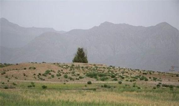 تل هکوان کوار؛ بنای تاریخی ارزشمند اما مهجور/ هکوان ظرفیت تبدیل به جاذبه گردشگری را دارد