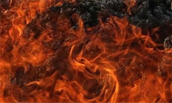 امحاء کرم‌های دست ساز غیربهداشتی در شیراز