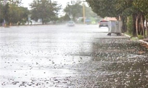 بارش برف و باران در استان فارس موجب تعطیلی برخی مدارس شد