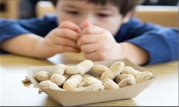 موفقیت در درمان آلرژی به بادام زمینی با کمک فناوری‌نانو