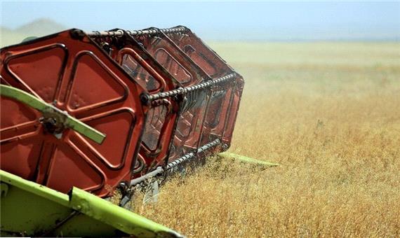 روغن‌کاری چرخ اقتصاد کشاورزی فارس با «کاملینا»؛پیش بینی افزایش کشت تا 2هزار هکتار