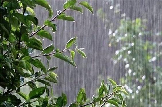 صدور هشدار زرد هواشناسی برای بارش‌های رگباری و وزش باد شدید در فارس
