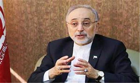 صالحی: دست ایران در مذاکرات وین پر است