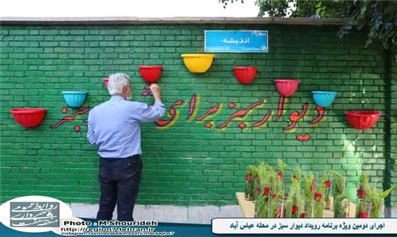 اجرای دومین ویژه برنامه رویداد دیوار سبز در محله عباس آباد