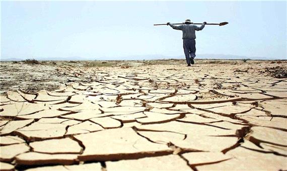 زیان ناشی از خشکسالی به کشاورزی فیروزآباد هزار میلیارد ریال برآورد شد