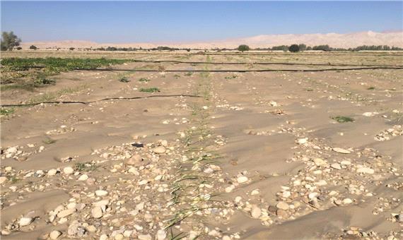 سیل حدود 2 هزار میلیارد ریال به تاسیسات زیربنایی اِوَز فارس خسارت زد