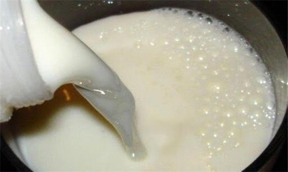 تولید بیش از 5 هزار تن شیر خام در خرمبید