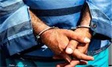 دستگیری 7 نفر از عوامل درگیری در فیروزآباد