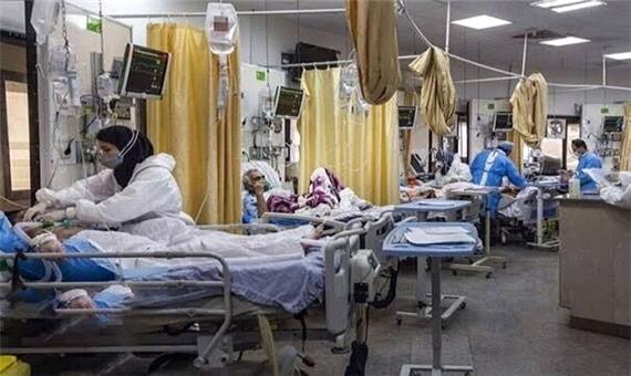 بستری 25 بیمار جدید مبتلا به کرونا در فارس