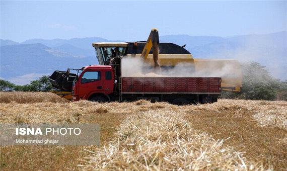 امسال 225 هزار تن گندم در فارس خریداری شده است