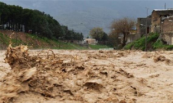 600 راس دام در بختگان تلف شدند/20 روستا درگیر سیلاب هستند