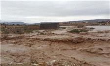 خسارت بیش از 300 میلیاردی سیلاب به شهرستان نی ریز