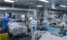 75 بیمار جدید مبتلا به کرونا در فارس بستری شدند