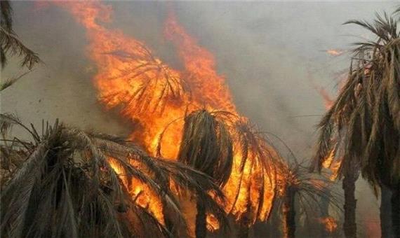 100 نفر نخل خرمای شهرستان گراش در آتش سوخت