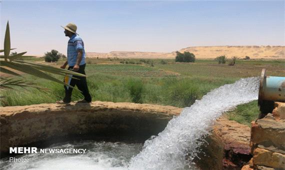 لزوم صرفه جویی 10 درصدی در مصرف آب بخش کشاورزی استان فارس