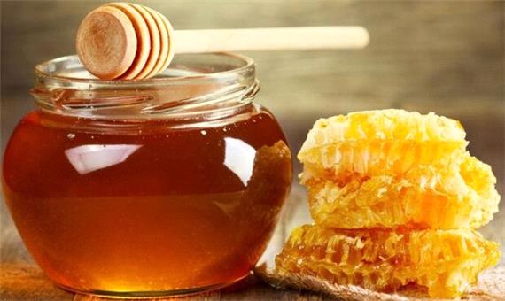 تولید سالانه 400 تن عسل در جهرم