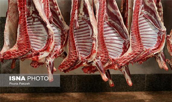 تولید 7000 تن گوشت قرمز در کوار