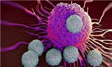 نانوذرات به جنگ سرطان می‌روند