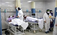 ١46 بیمار کرونایی در بیمارستان های فارس بستری هستند