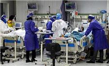 67 بیمار کرونایی در مراکز درمانی فارس با این ویروس نامرئی در جدالند