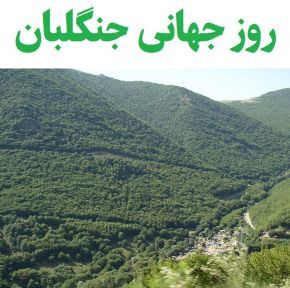 تجلیل از جنگلبانان فارس
