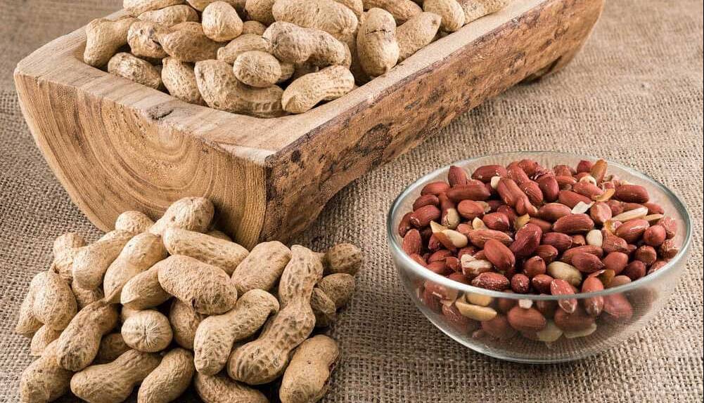 خوردن روزانه این مغز خوشمزه روند پیری را کند می‌کند