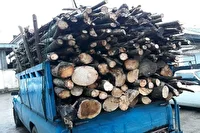 کشف چوب بلوط قاچاق در سپیدان