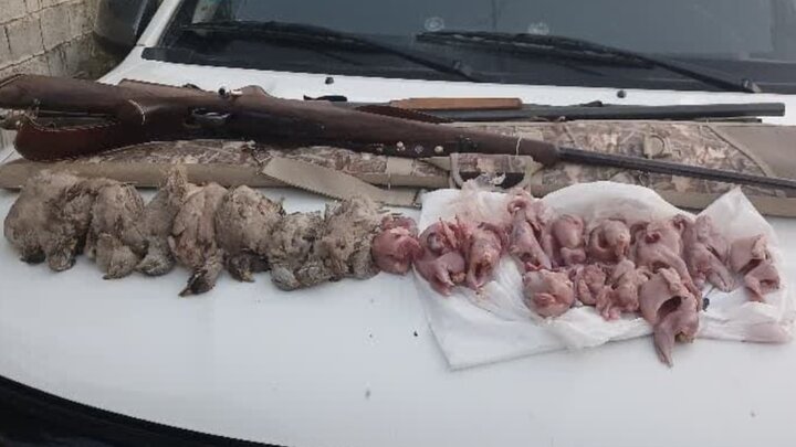 شکارچی غیرمجاز در کازرون دستگیر شد