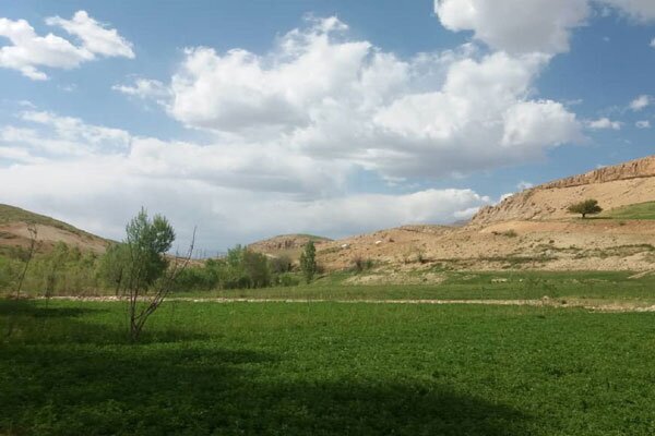 پیام فارس