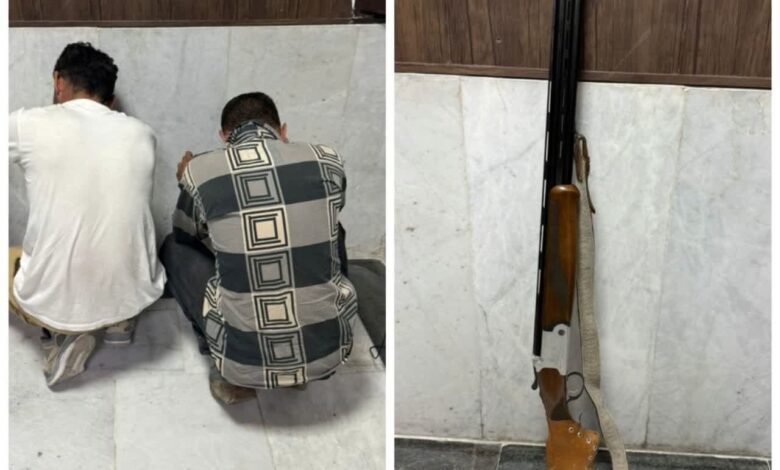 پیام فارس