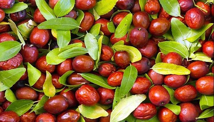 خواص شگفت‌انگیز این ماده غذایی؛ از کاهش کلسترول تا تقویت پوست