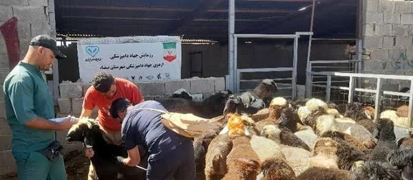 پیام فارس