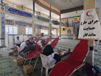 اهدای ۶۰ واحد خون به بیماران در فیروزآباد