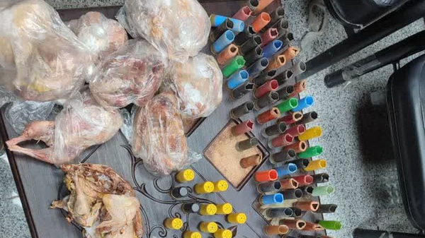شکارچیان غیرمجاز در شیراز دستگیر شدند