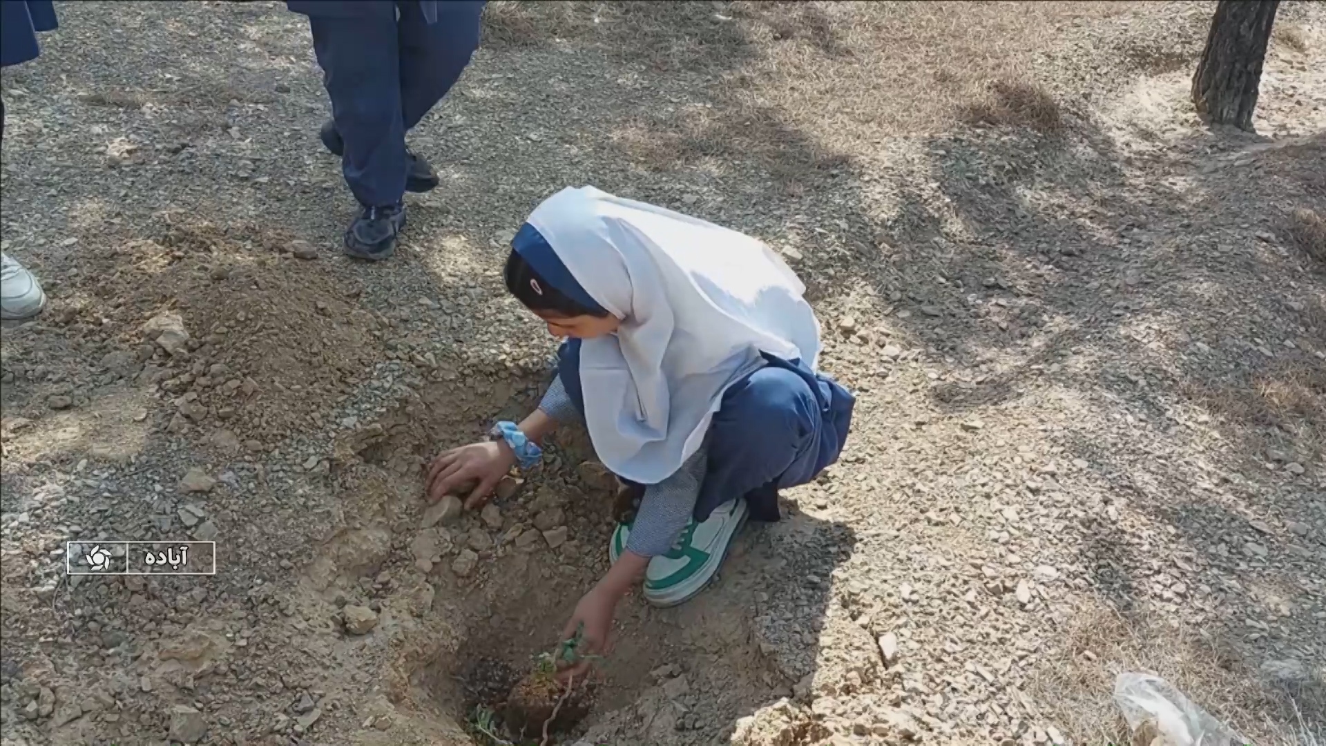 پیام فارس
