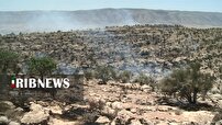 جنگل‌های زاگرس را در فارس دریابید