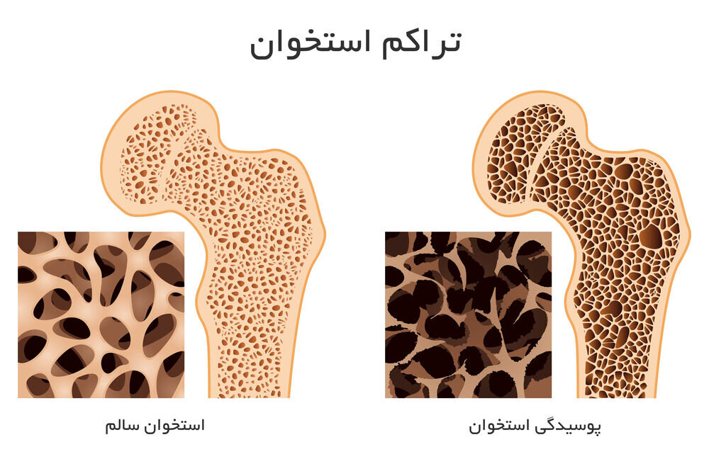 پیام فارس