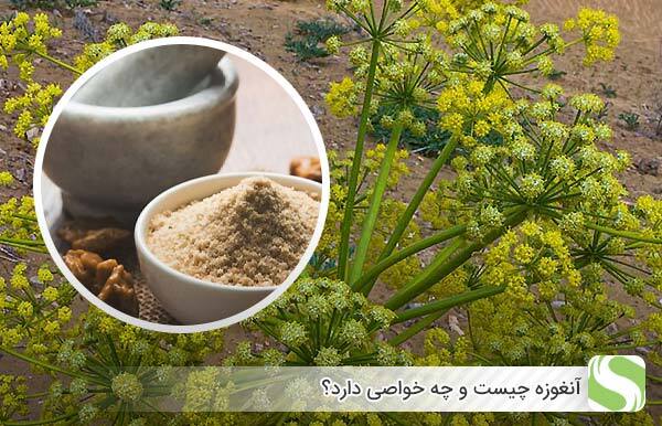 پیام فارس