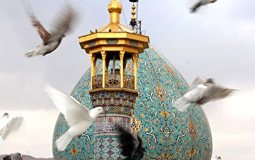 حرم شاهچراغ (ع) ؛ نگین انگشتری شیراز