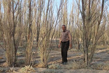 راننده کامیونی که دلش برای زمین می‌تپد