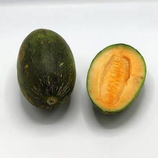 خواص عجیب خربزه مه ولاتی!