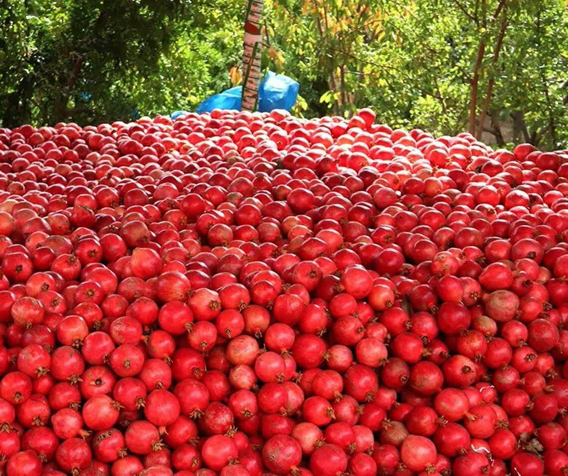 پیام فارس