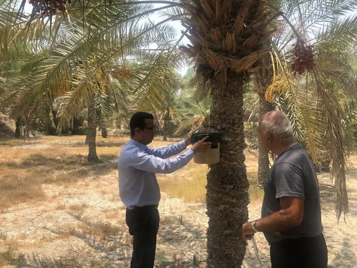 پیام فارس