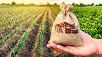 پرداخت وام ۵۰۰ میلیون ریالی به بیمه شدگان روستایی