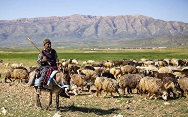 آغاز کوچ عشایر به جنوب فارس