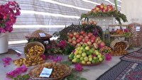 شهر خاوران میزبان جشنواره انار و خرما