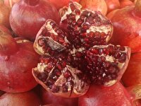 برگزاری نخستین جشنواره انار کازرون