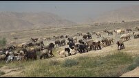 به صدا درآمدن زنگ کوچ عشایر در جنوب فارس